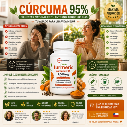 Turmeric Curcumin 60 Cápsulas